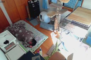 10時25分 ごろ