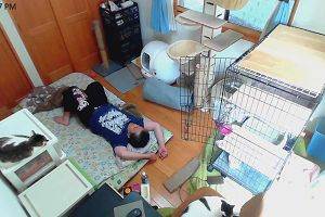 12時10分 ごろ