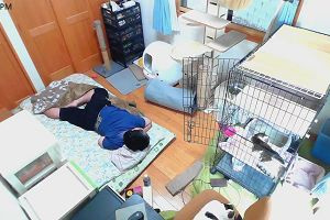 14時15分 ごろ