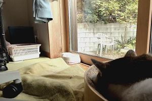 15時05分 ごろ