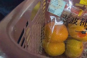 16時40分 ごろ