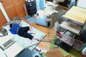 21時50分 ごろ