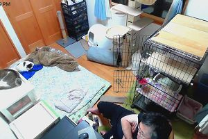 23時05分 ごろ
