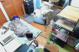 00時05分 ごろ