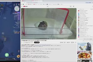 15時30分 ごろ