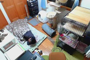 01時05分 ごろ