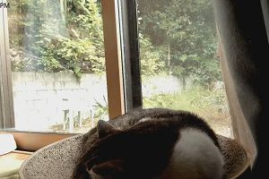 14時45分 ごろ