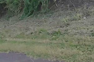 14時55分 ごろ