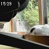 15時25分 ごろ