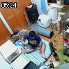 05時20分 ごろ