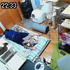 22時30分 ごろ