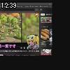 12時35分 ごろ