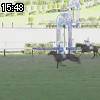 15時45分 ごろ