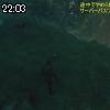 22時00分 ごろ