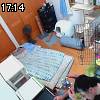 17時10分 ごろ