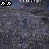 23時25分 ごろ