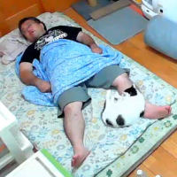 寝ている人,赤ちゃん,猫,添い寝,青い服,室内