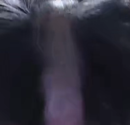 動物,鼻,黒い毛,アップ