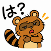 アライグマ,困惑,怒り,は？