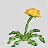 花,タンポポ,黄色い花,植物,イラスト