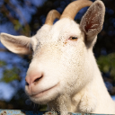 ヤギ,動物,白,角,アップ,青空