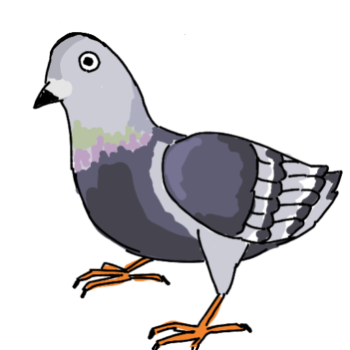 鳩,鳥,イラスト,動物,シンプル