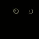 黒猫,目,暗闇,シンプル,動物