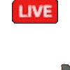 LIVE,配信,生放送,赤いラベル,黒猫,アイコン