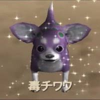チワワ,犬,紫,宇宙,キラキラ,毒チワワ