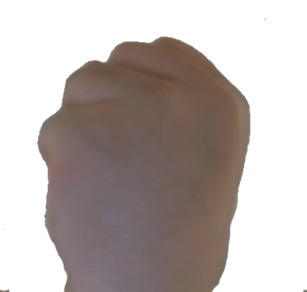 拳,手,握る,グー,ジェスチャー