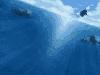 海,海亀,水中,ブルー,亀