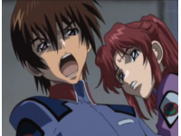 アニメ,男女,叫ぶ,怒り,機動戦士ガンダムSEED