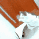 猫,ジャンプ,動物,面白い,GIF