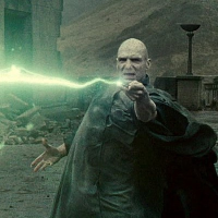 ヴォルデモート,ハリー・ポッター,魔法使い,杖,戦闘,映画