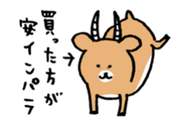犬,買った方が安い,安いシンプラ